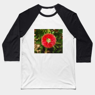 Bottlebrush Flower Baseball T-Shirt
